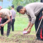 5fb22ac6-4ad5-4d20-9d6d-b954854989c4-1536x1024