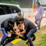 FB_IMG_1762519682719