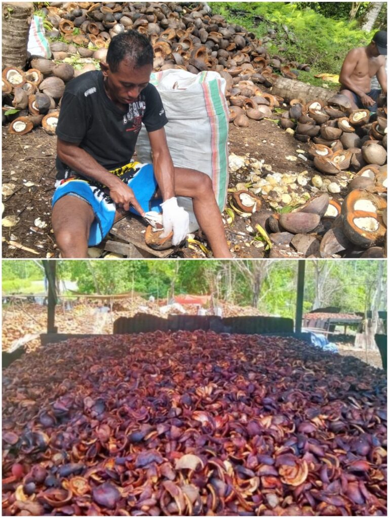 IMG-20251223-WA0096(1)