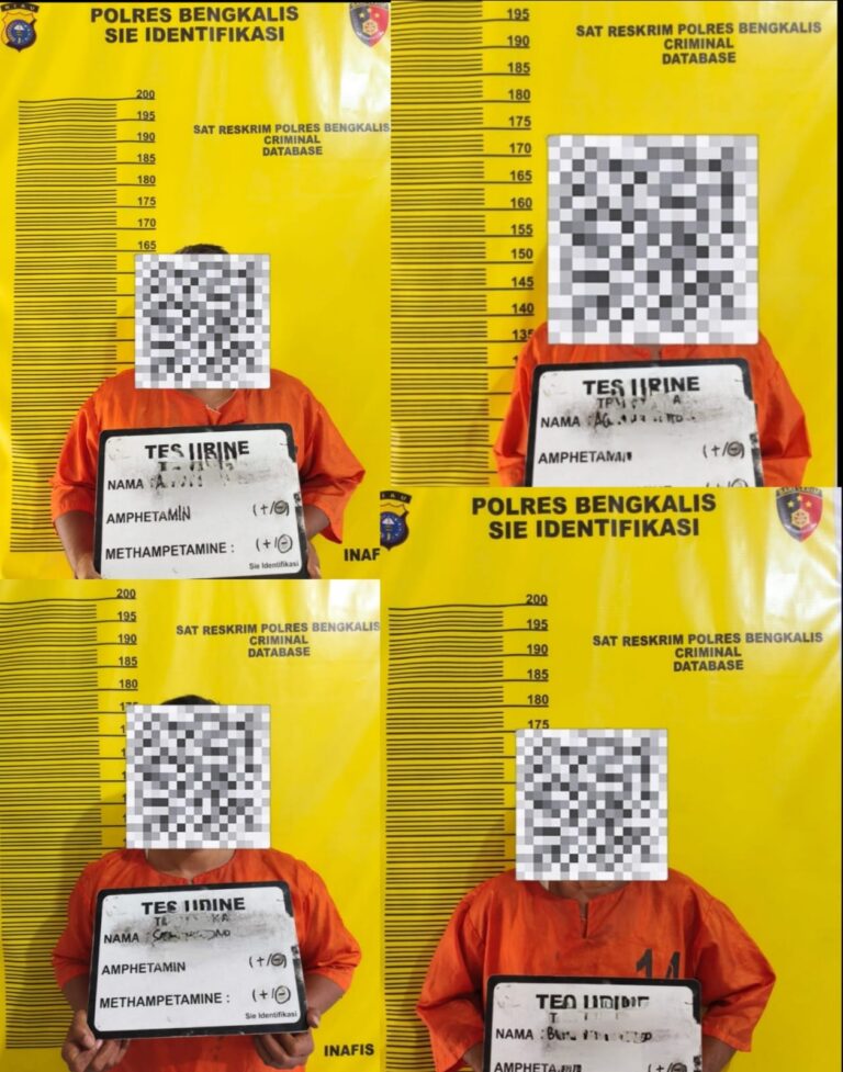 IMG-20260130-WA0014(1)